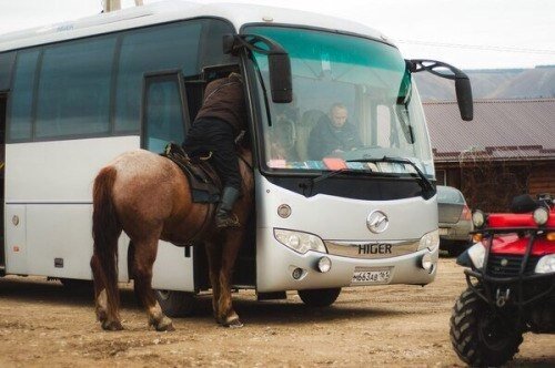 братан, дай взаймы пару лошадок