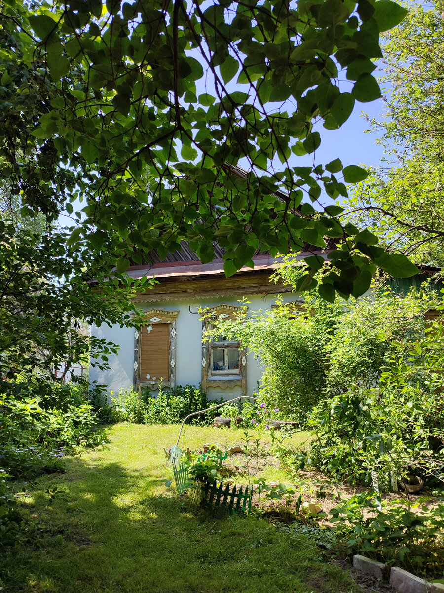 Вот моя деревня, вот мой дом родной. Окно забили лет 25 назад. Воры выбили раму со стеклом, украли из дома всю металлическую посуду и икону, которую бабушке подарили на свадьбу. Никому ничего не нужно... 