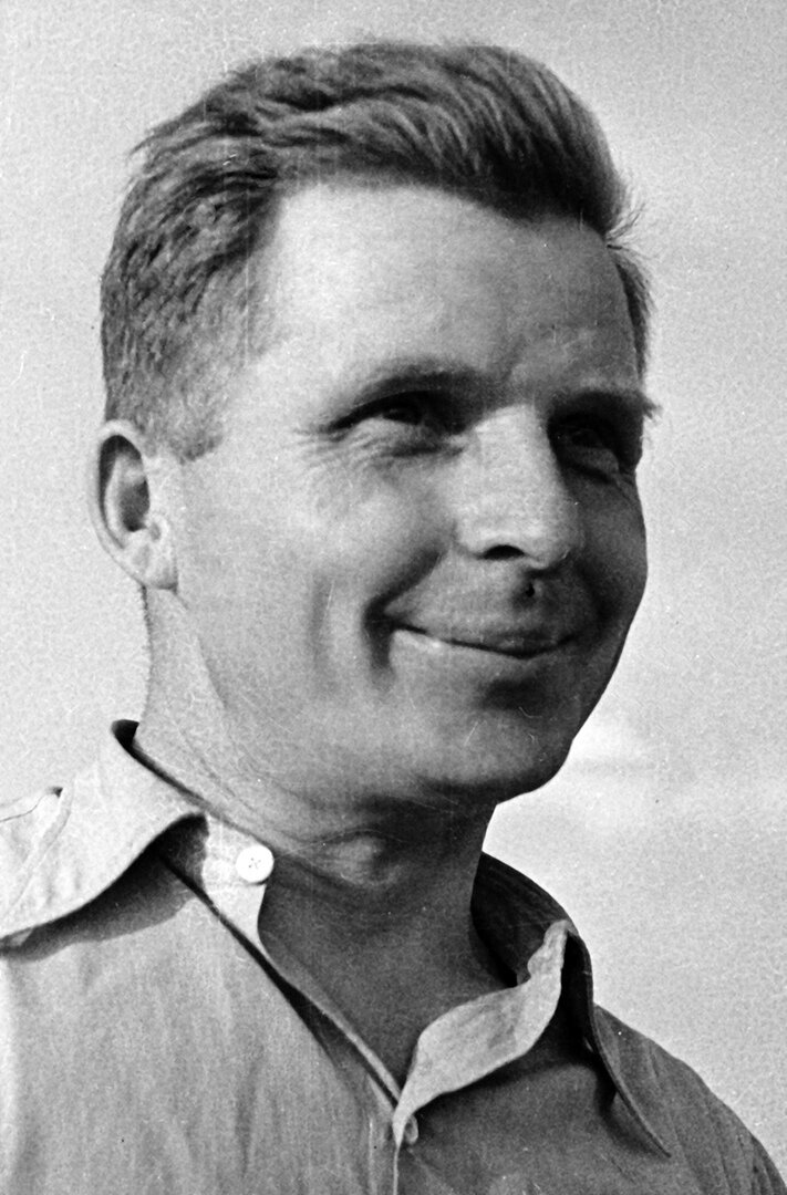 Я «Ил», истребитель!.. Часть первая. Неудачный дебют | ТыжИсторик | Дзен