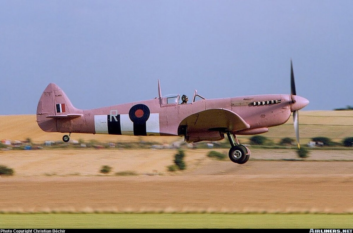 Истребитель Спитфайр в розовой окраске. Фото из открытых источников 