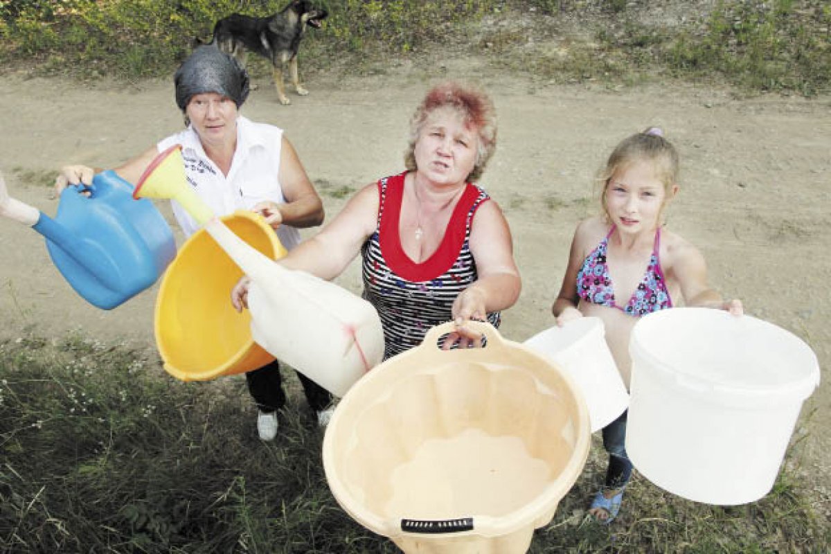    Аномальная погода губительна для растений.