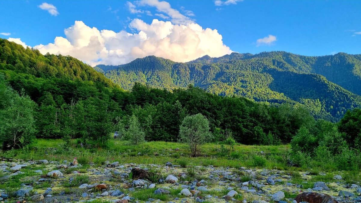 Абхазия кодорское ущелье карта