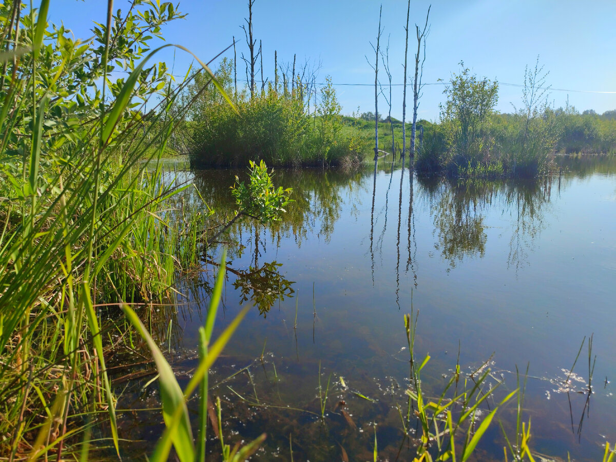 Водоемы ленинградской