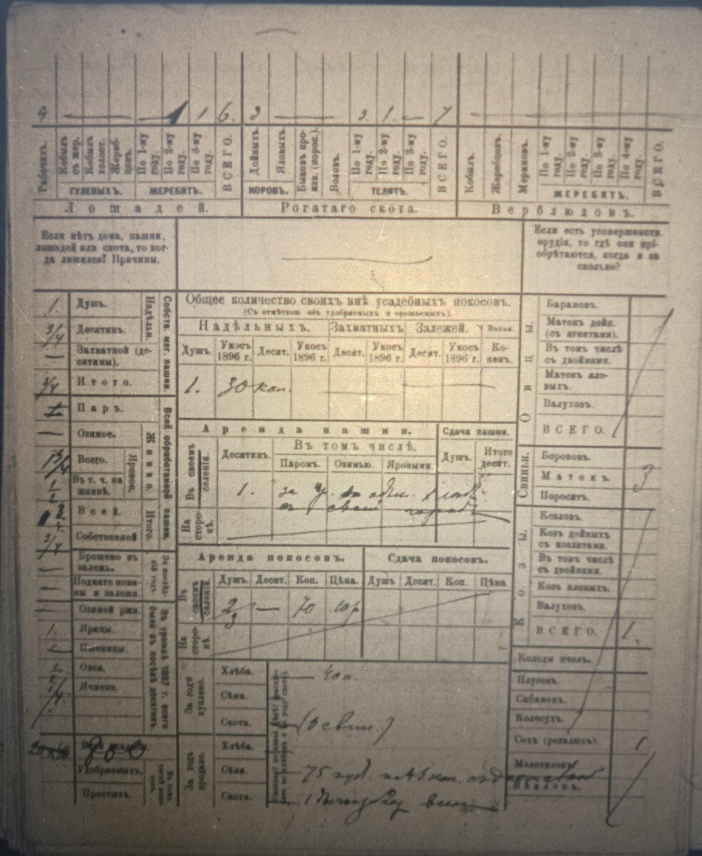 Заполненная форма (обратная сторона), фото с экрана (наиболее удачное)