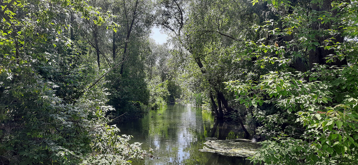 Ткани для пэчворка