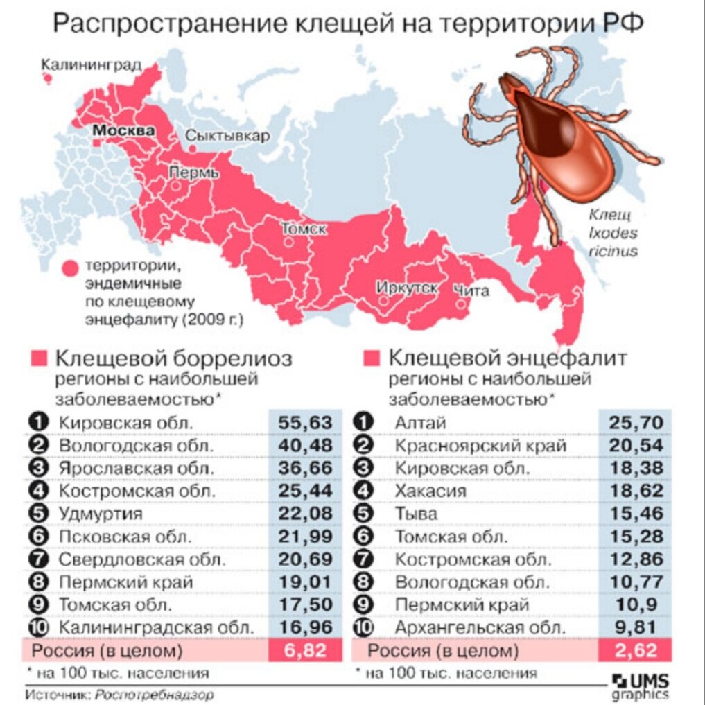 Территория распространения заболеваний называется. Заболеваемость клещевым боррелиозом в России. Боррелиоз карта распространения в России. Клещевой боррелиоз распространенность. Клещевой боррелиоз распространение в России в 2021.