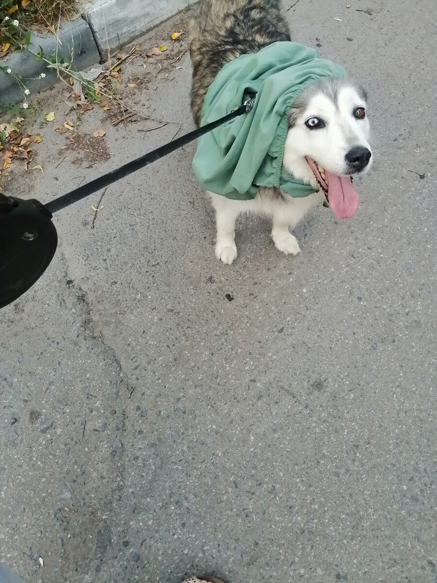Ну и немножко моей Герды для Вас ♥️