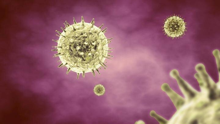 ФОТО: BERNHARD CLASSEN/IMAGEBROKER.COM/GLOBALLOOKPRESS