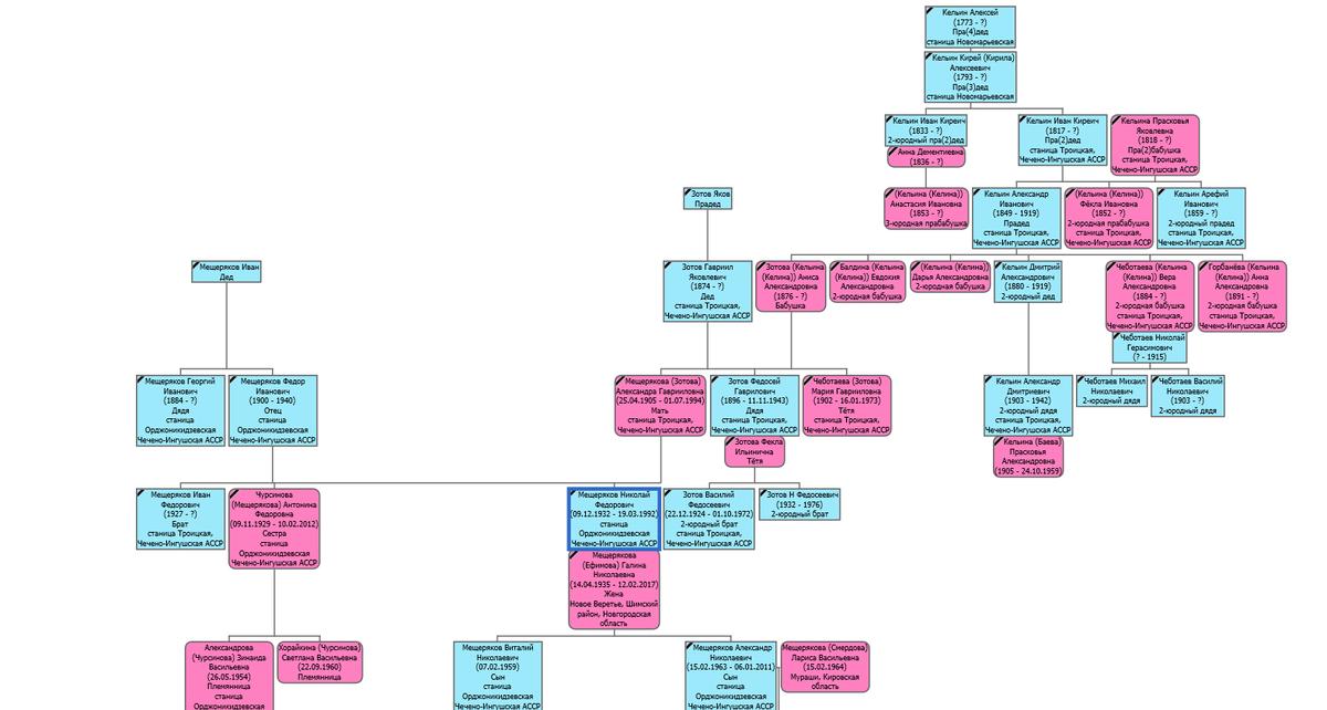 Генеалогическое дерево, построенное относительно моего деда, Мещерякова Николая Федоровича.