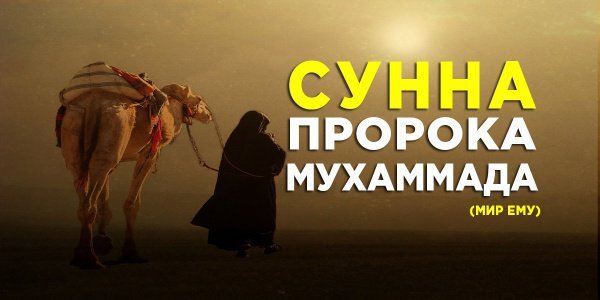 1. Слушающий азан должен повторять всё то, что говорит муэдзин, кроме слов «хаййа алас-салят» (спешите на намаз), и «хайа ала-ль-фалах» (спешите к спасению), вместо них он говорит про себя: لا حول ولا قوة إلا بالله — Ла хаулля уа ля кууата илля билля — «Нет мощи и силы ни у кого, кроме Аллаха»   2. Слушающему азан следует сказать: وأنا أشهد أن لا إله إلا الله وحده لا شريك له وأن محمدا عبده ورسوله , رضيت بالله ربا , وبمحمد رسولا , وبالإسلام دينا Уа ана ашхаду алля иляха иллялла уа анна мухаммадан расулюлла, радыйту билляхи раббан, уа бильислами дийнан уа бимухаммади расулян — «И я свидетельствую, что нет Бога кроме Аллаха и что Мухаммад посланник Аллаха, доволен я Аллахом, как Господом, исламом как религией и Мухаммадом как посланником» Польза совершения этой сунны: прощение грехов, как это указывается в хадисе, переданном имамом Муслимом   3. Произносить слова благословения (салават) Пророку, мир ему и благословение, после окончания ответа на слова муэдзина. Пророк, мир ему и благословение, сказал: «Если услышите муэдзина, то говорите то же, что он говорит, потом говорите слова благословения для меня. Воистину, того, кто скажет одно благословение мне, Аллах благословит за это 10 раз» (Муслим)   4. После слов благословения Пророку, мир ему и благословение, следует сказать: اللهم رب هذه الدعوة التامة , والصلاة القائمة , آت محمدا الوسيلة والفضيلة وابعثه مقاما محمودا الذي وعدته Аллахумма рабби хазихи дагвати таммати уа салатиль каимати ати мухаммадан альуасилята уаль фадилята уабгасху макаман махмудан аллязи уагадтаху — «О Аллах, благослови этот (совершенный, благой) призыв и прочитанный намаз и облагодетельствуй Мухаммада степенью Аль-Василя (в раю) и воскреси его в благом месте» Тот, кто будет произносить это дуа, удостоится заступничества Пророка, мир ему и благословение, в Судный день   5. Попросить в дуа блага для себя. Тот, кто это сделает, обязательно получит ответ. Так как Пророк, мир ему и благословение, сказал: «Говори то же, что говорит муэдзин, а когда он закончит, проси что пожелаешь и тебе будет дано» (Абу Дауд)

