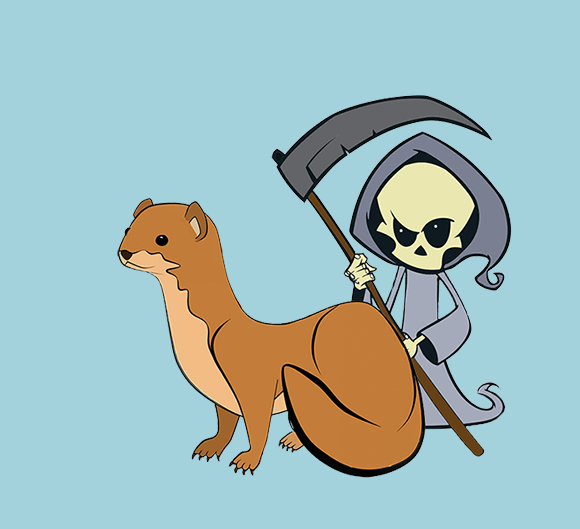 Ласка: милый с наружи коварный внутри