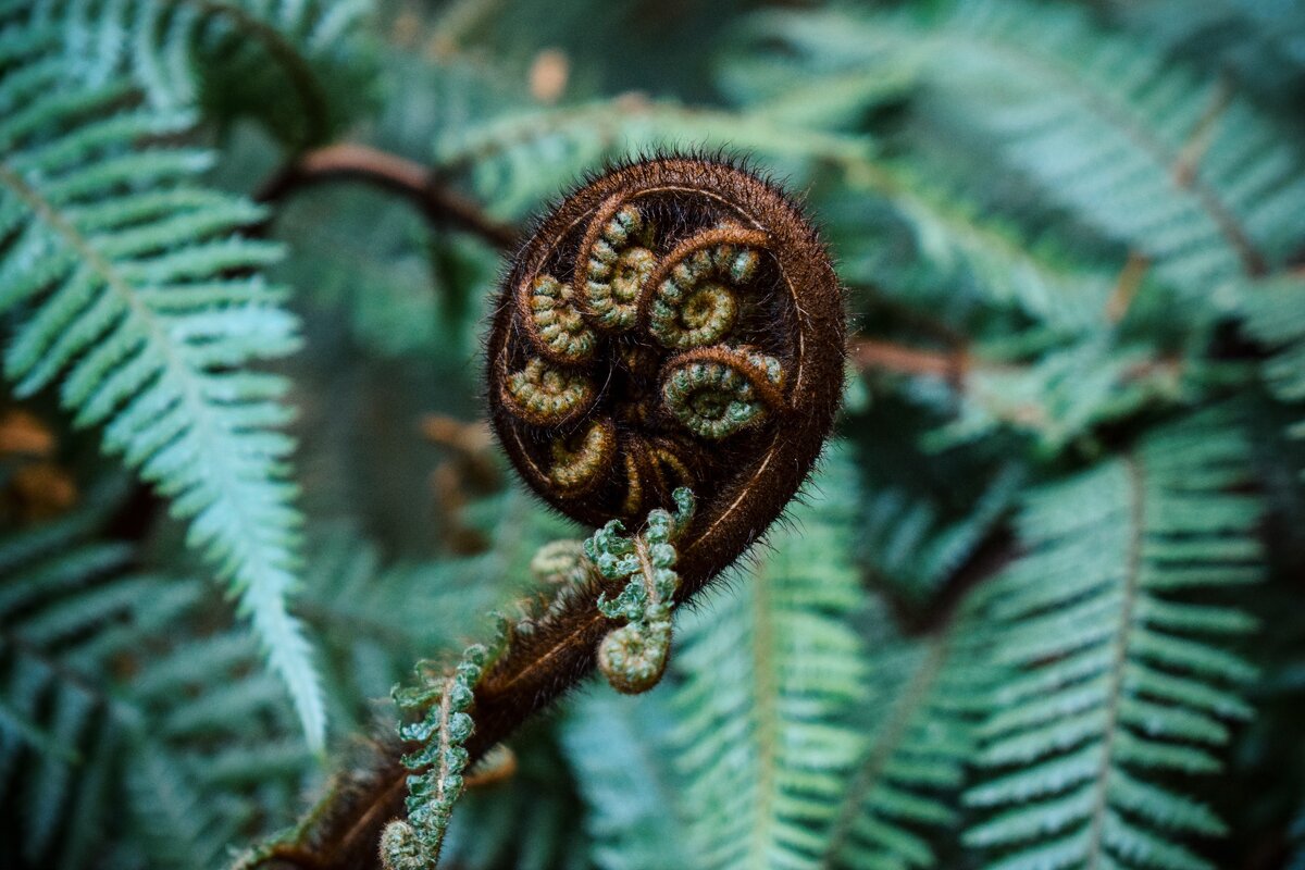 Фото: Agathe Marty, unsplash.com