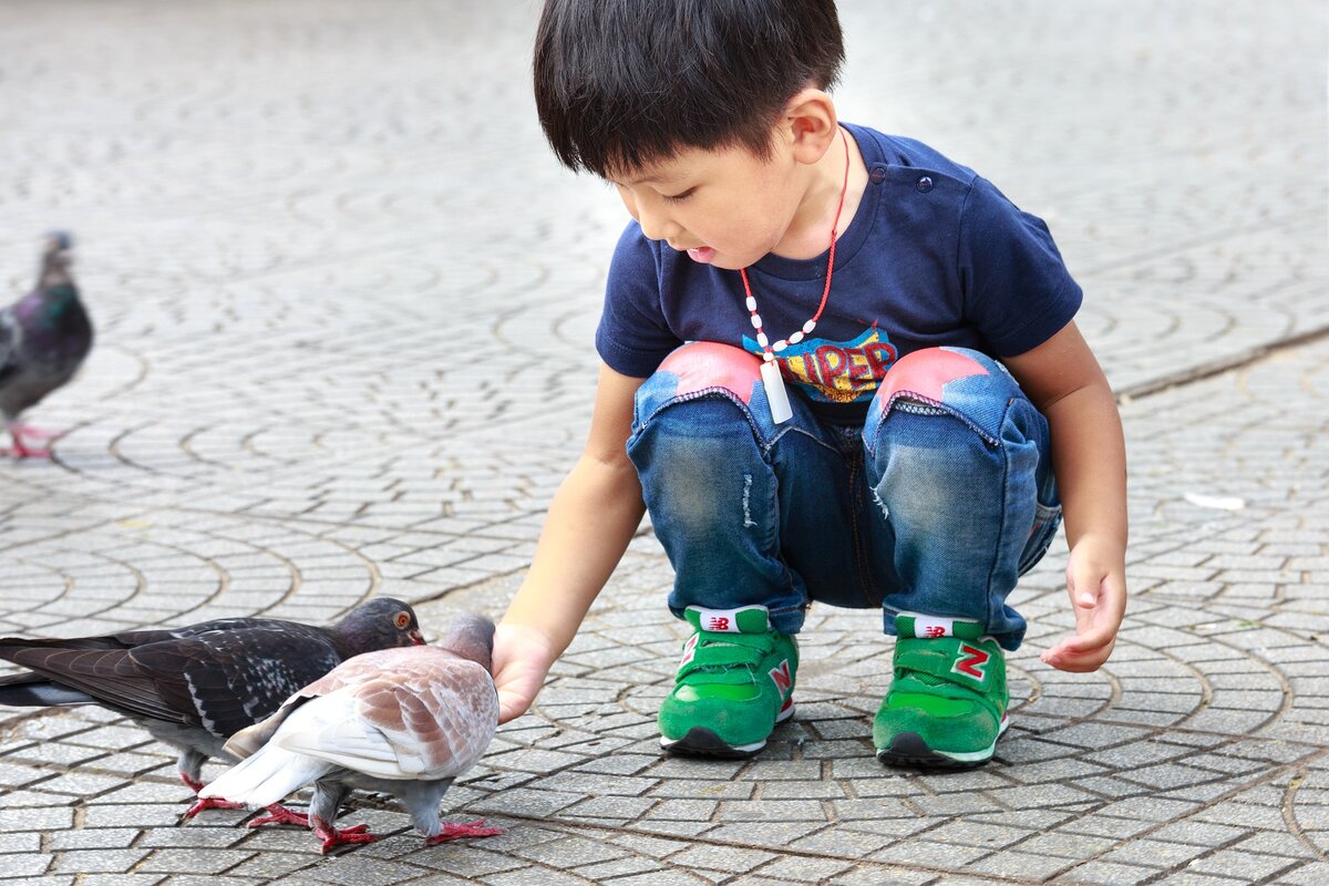 Мальчик и птица полностью. Дети голубей. Мальчик с голубем. Птички для детей. Мальчик и птичка.