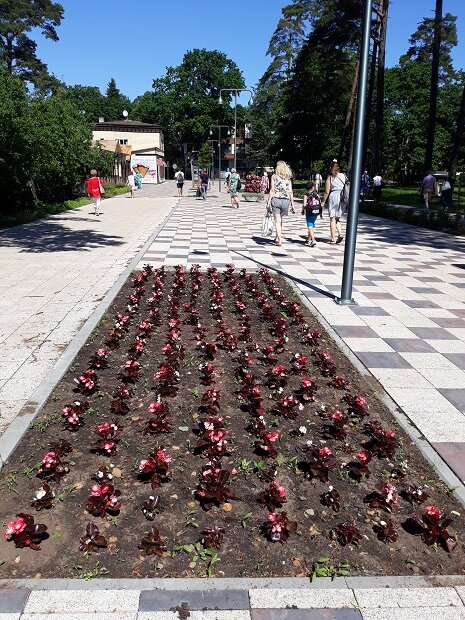 Юрмала, 24 июня 2020