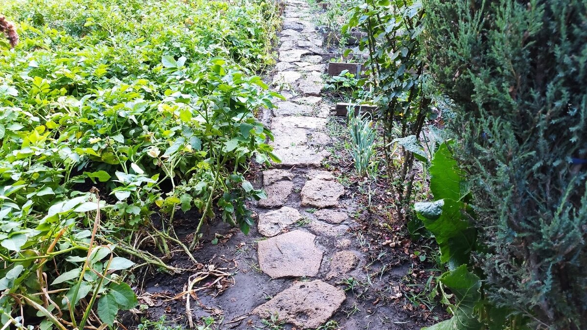 Листайте вправо 