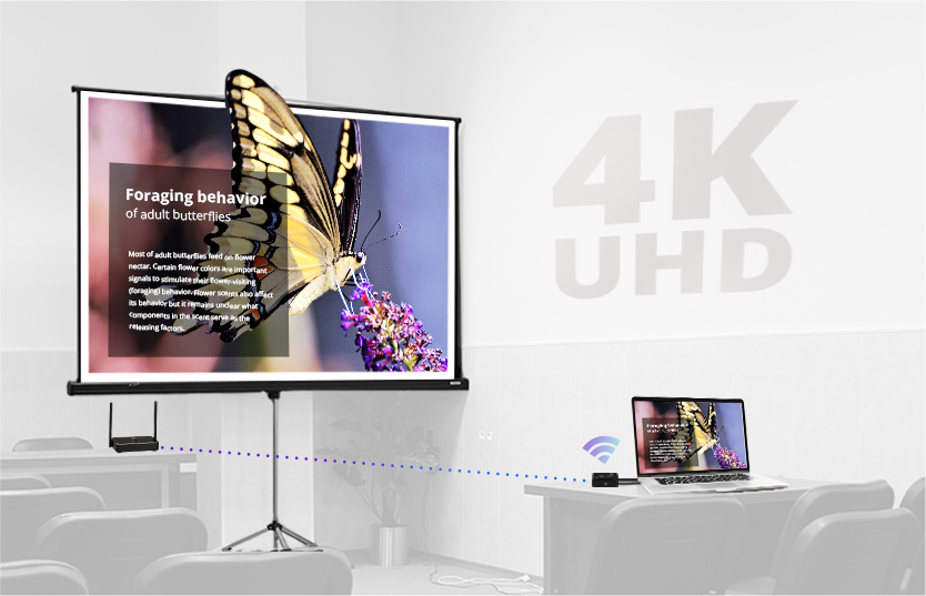 Иллюстрация  AVer