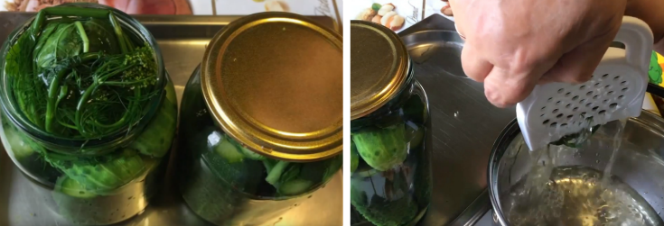 Как маринованные огурцы в кастрюле. Маринованные огурцы рассол. Стерилизация банок с огурцами. Малосольные огурцы в кастрюле. Малосольные огурцы.