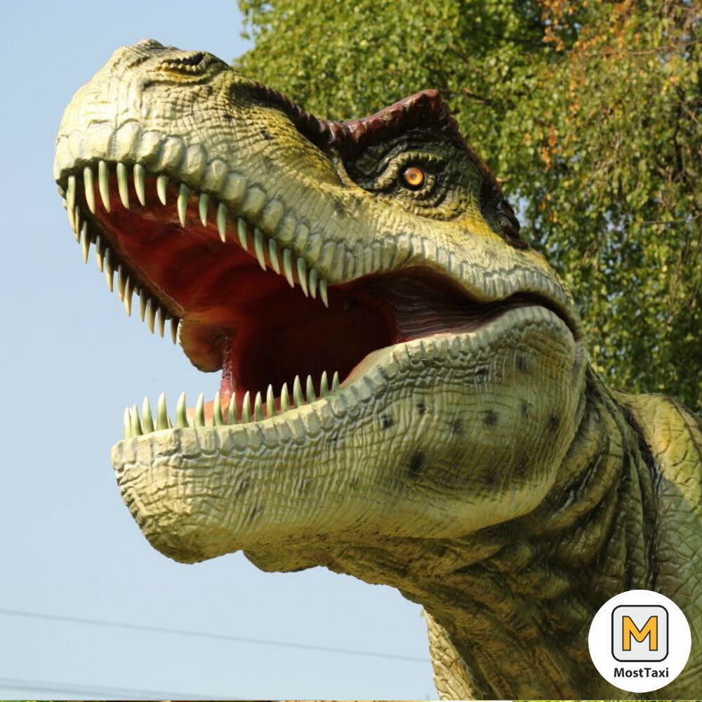 Источник Яндекс.Картинки