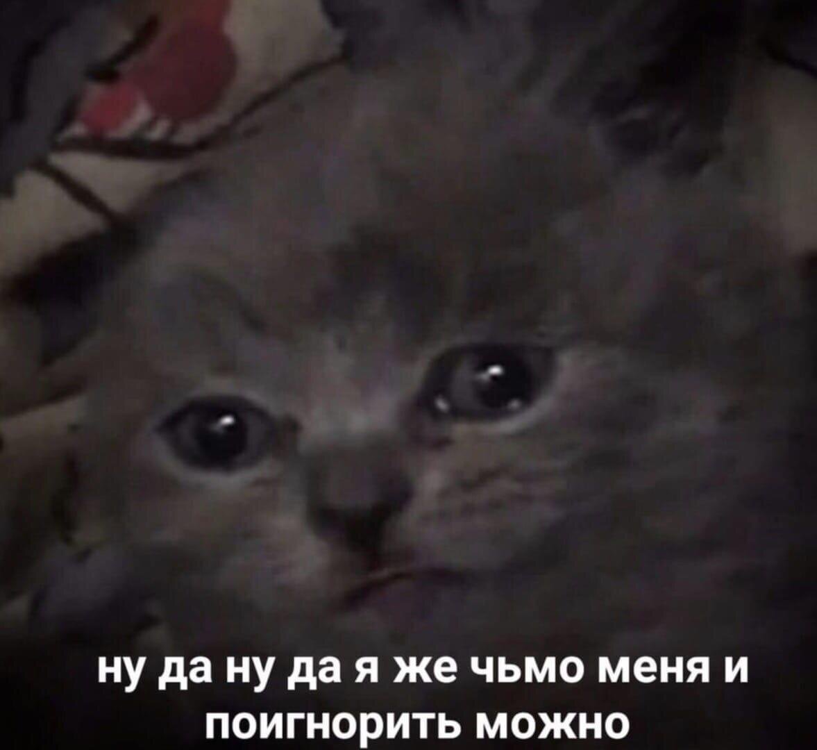 Это тогда когда тебе не отвечает уже 1 час друг и ты на него обиделся 