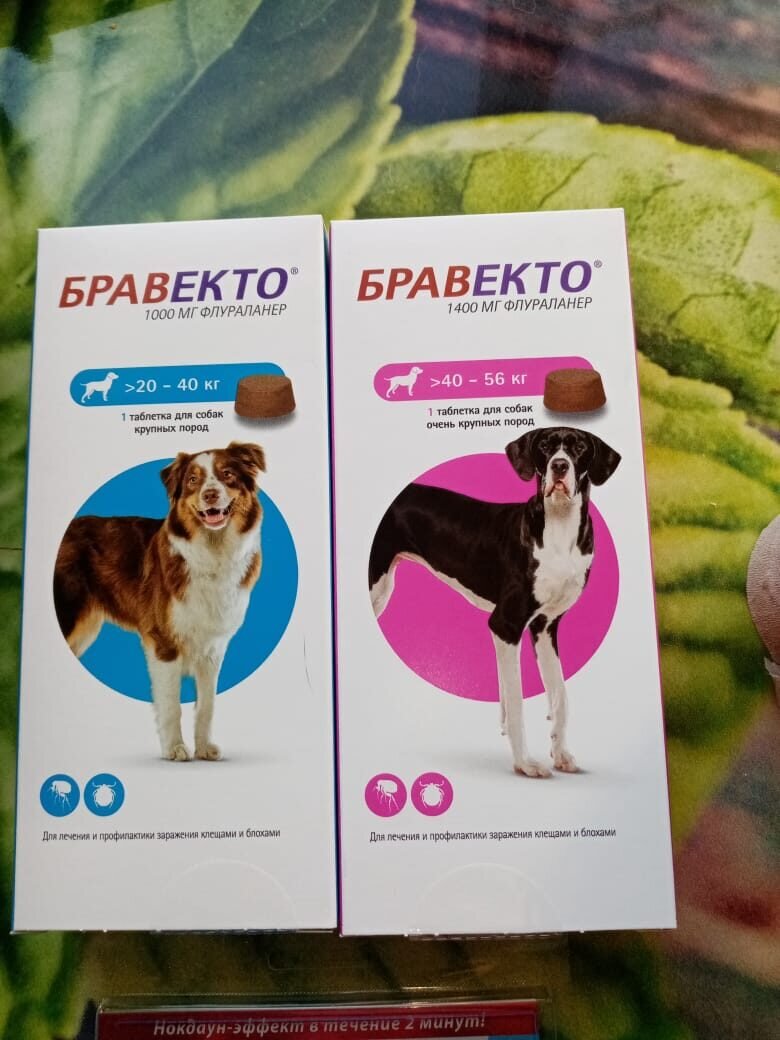 купили в долг "Бравекто", оплатили зоотакси