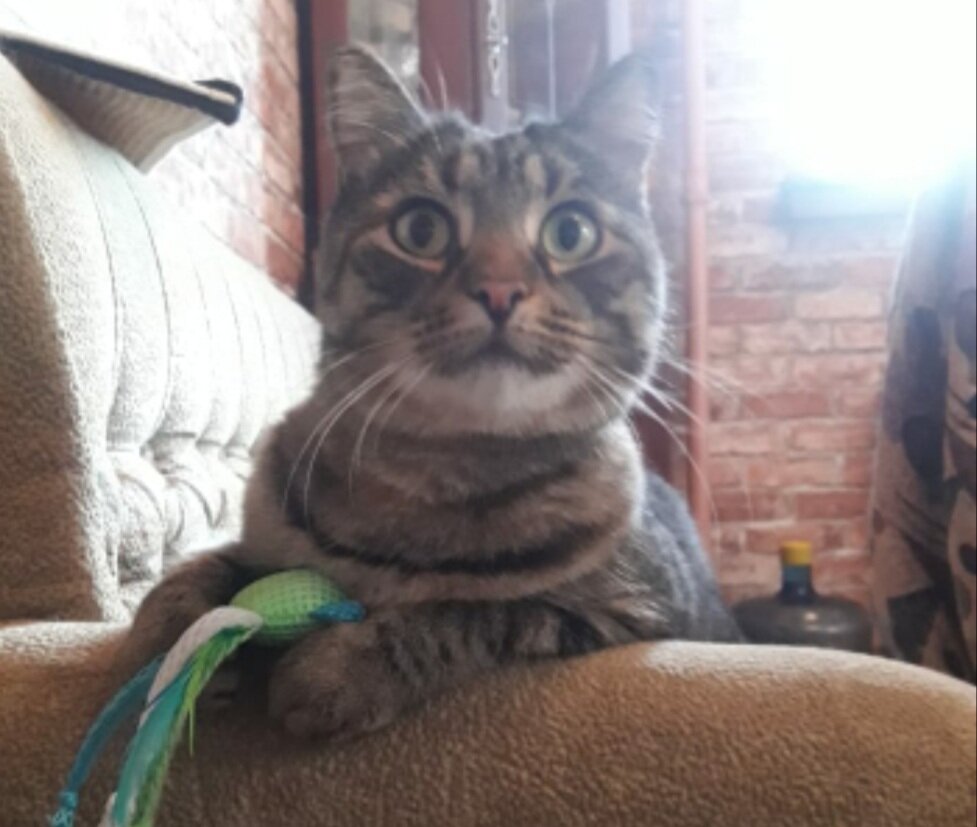 Здравствуйте!  — А Вы кто? (Авторское фото)