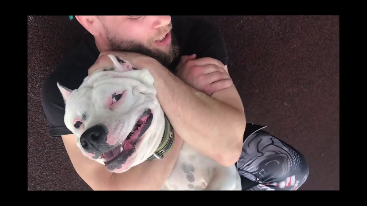 Профессионалы, могут усыпить собаку, но обычные люди на это не способны! И пробовать не надо! Есть советы куда проще!