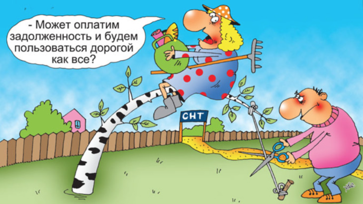 Снт смешные картинки