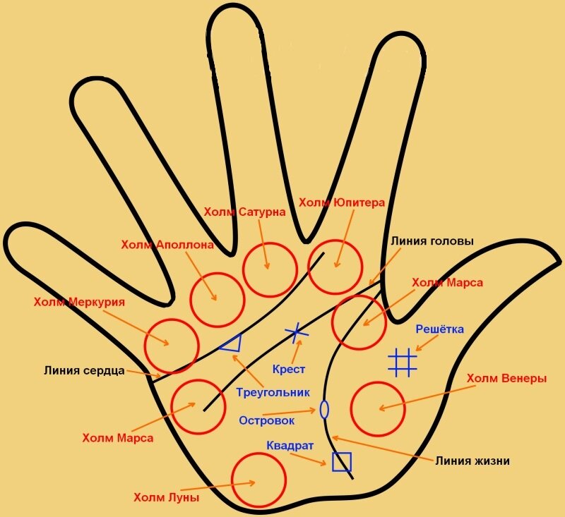 Фото из открытых источников 