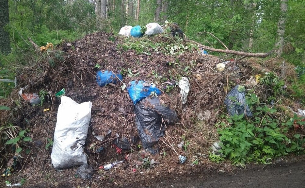 Мусор на дороге к кладбищу в Луге. Фото из ТГ-канала "Ленобласть | Главный" 