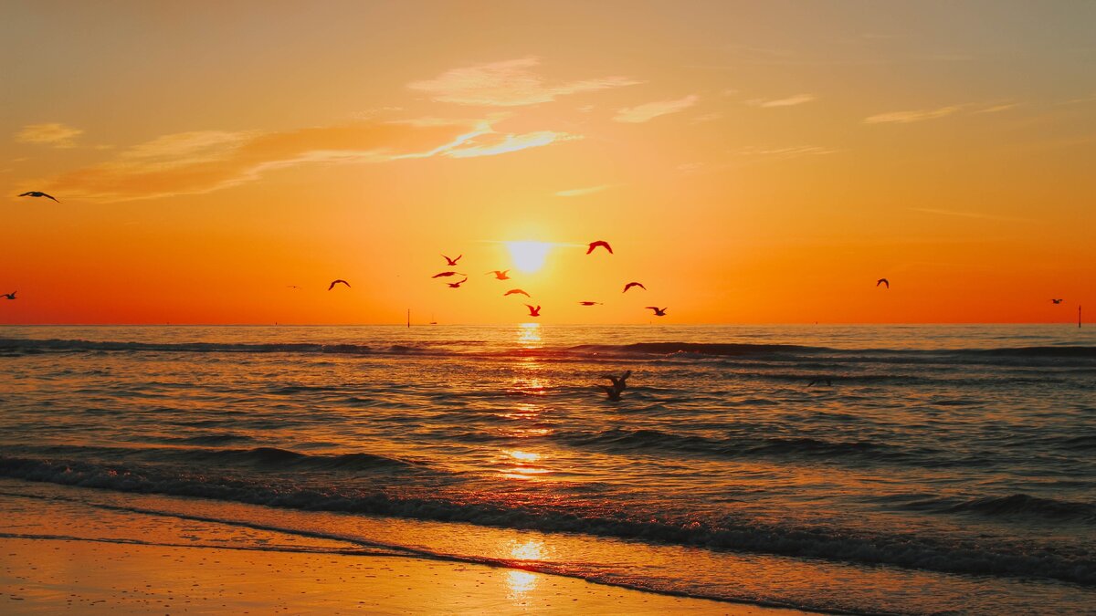 Photo by Mathias Reding