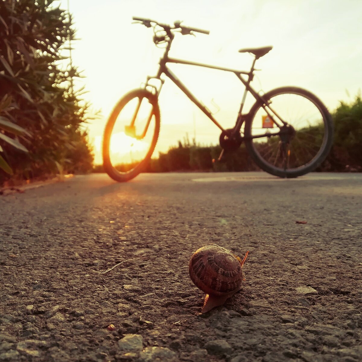 Два жизненных пути на одной дороге. 