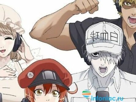 
© Cells at Work!/ David Production