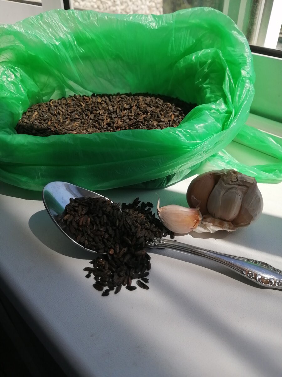 Солод и чеснок.