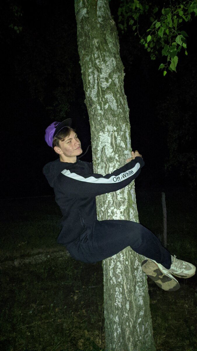 Фото с деревом