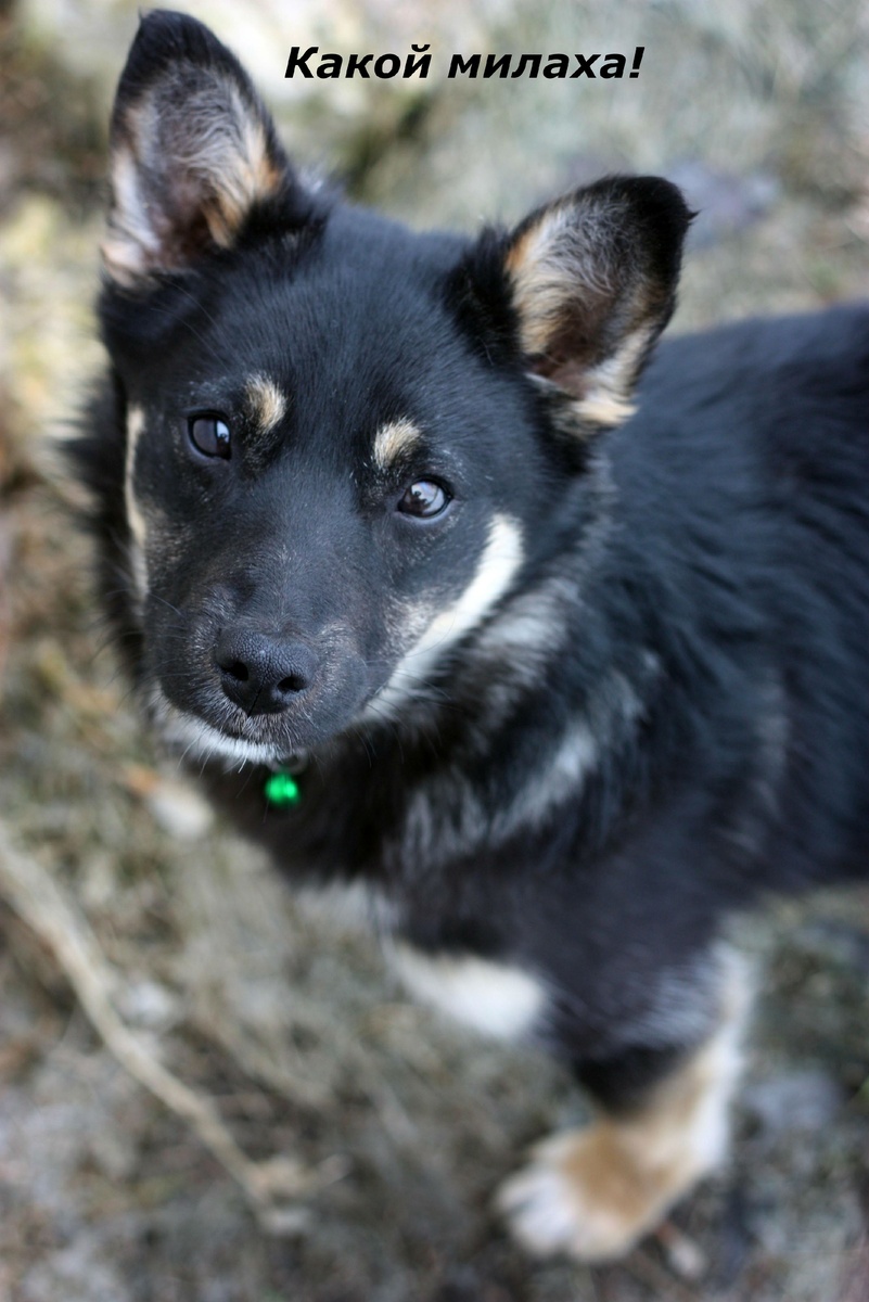 Фото с Яндекса