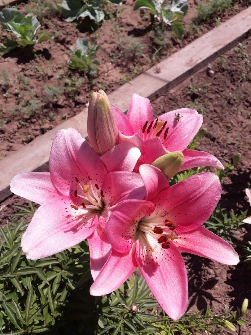 Фото мое, как и все остальные в статье