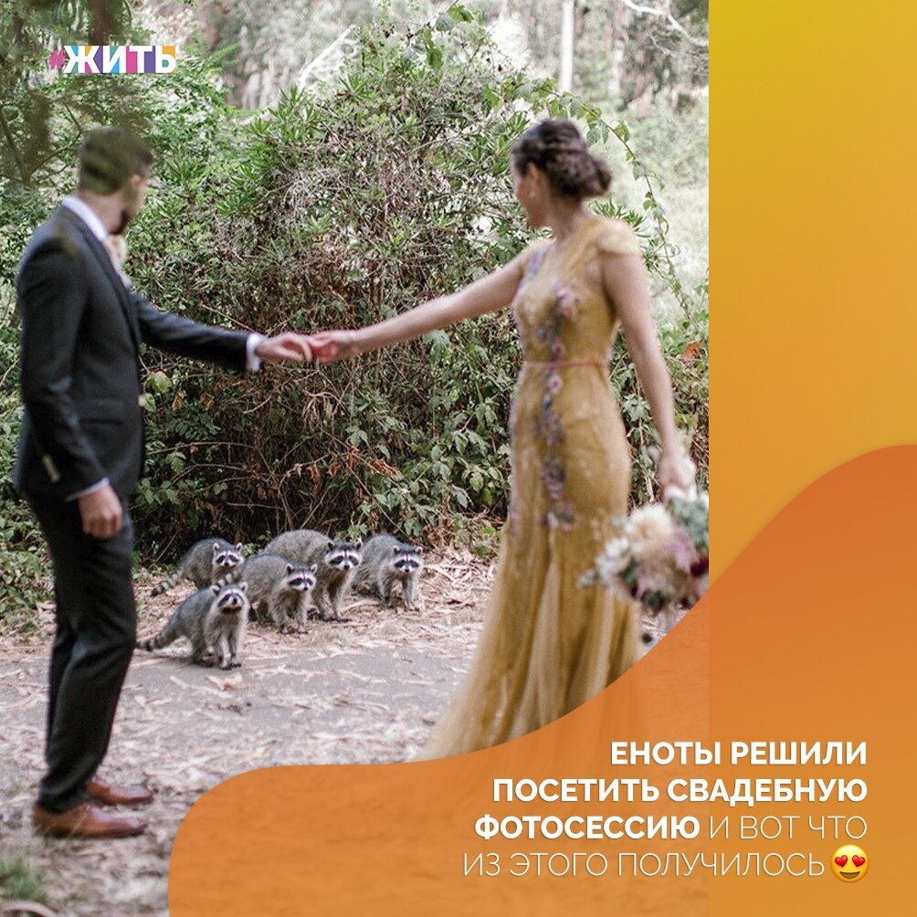 Эта пара хотела сделать снимки, на которых жених якобы в первый раз видит чудесное платье своей невесты. Поэтому молодые люди отправились в ботанический сад😌 
Когда они начали позировать для снимков, несколько енотов вышли из-за кустов и попали прямо в центр кадра😃

Получившиеся в итоге снимки выглядят как кадры из фильмов. Неудивительно, что ими поделились тысячи раз☺

А Вам нравятся фотографии?🙌

#жить #проектжить