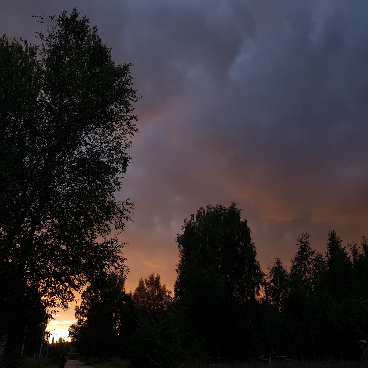 И вот такую красоту мы наблюдаем каждый день 😍😍