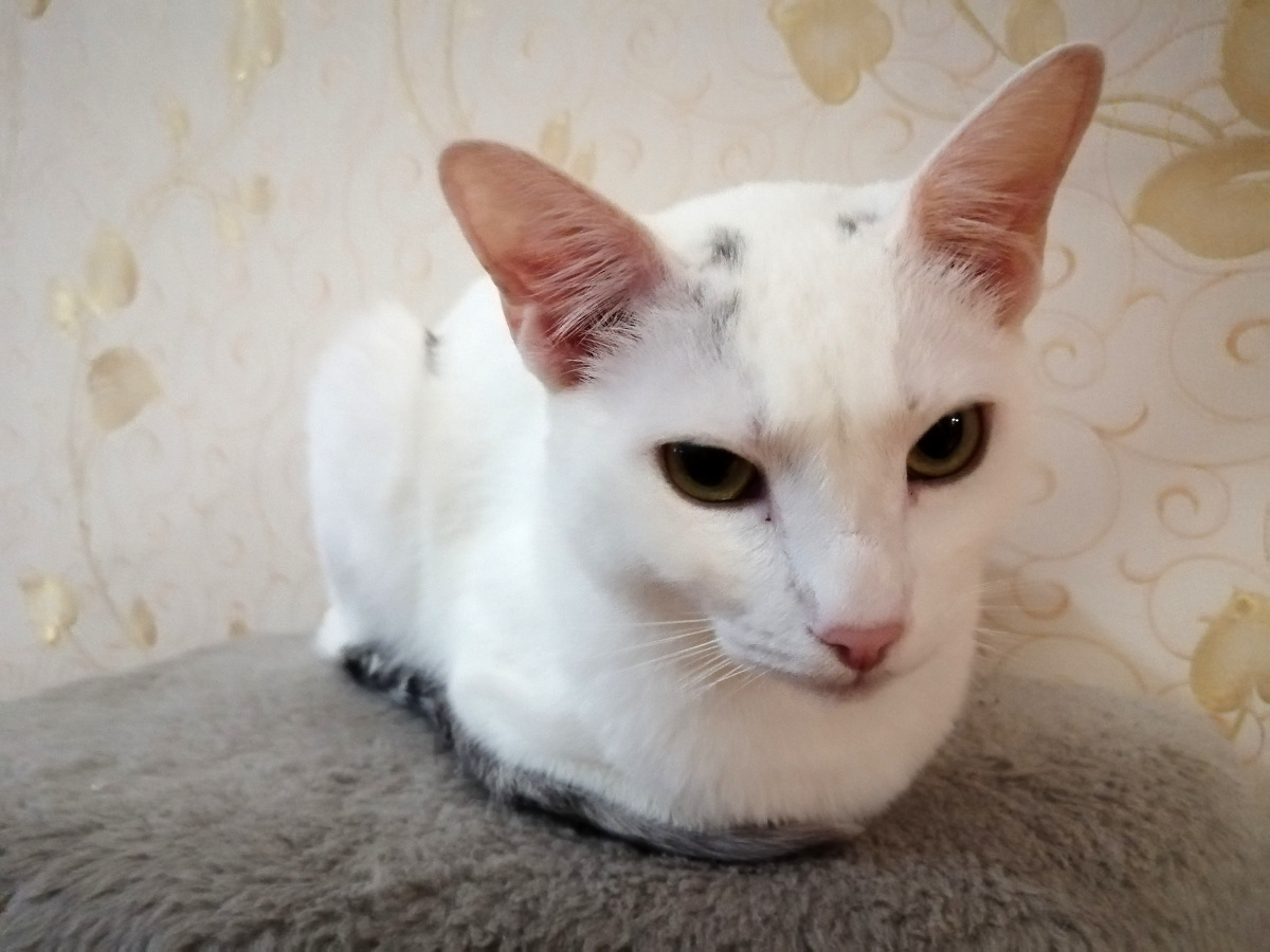 26.06.2020, Лея, фото собственное