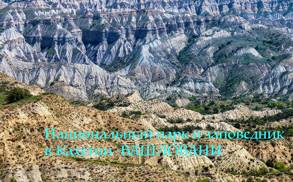 Парк-заповедник был образован в 1935 году для защиты «Светлых лесов». Климат и ландшафт Вашловани весьма разнообразен – больше шестисот видов растений произрастает, и сорок из них – эндемики. Вы можете посмотреть, если с проводником отправитесь по туристическим тропам – панорамы скал Алесилеби, фисташковый лес, а также увидите, как гармонично сосуществуют в природе такие деревья и кустарники, как вишня, инжир, гранат, можжевельник, кавказский клён и дикая груша. Сам парк – это гармония лесов, полупустыни, степи и живописных долин с «марсианскими» видами цветных скал.