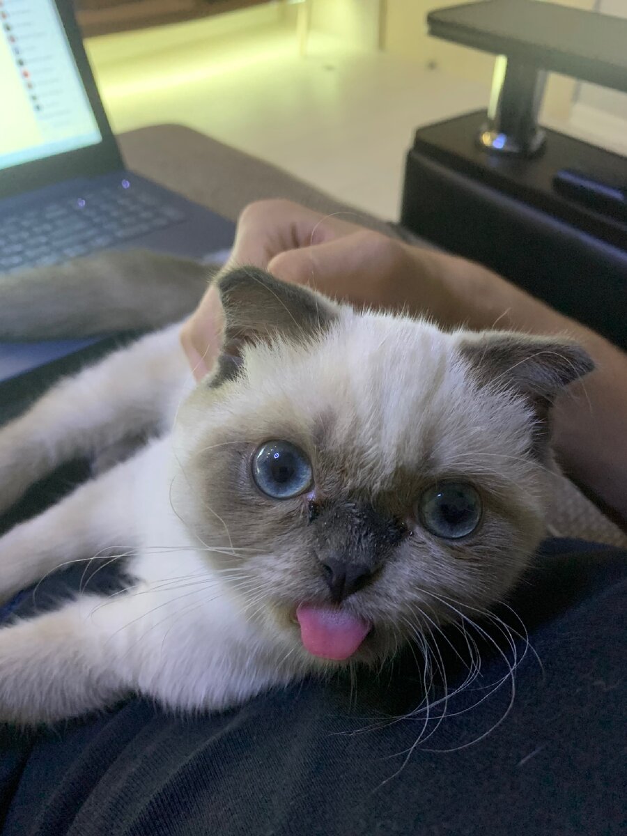 Это ответ на мои замечания.