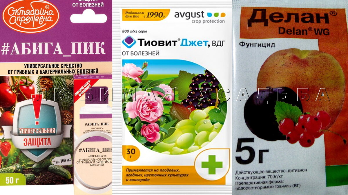 контактные фунгициды