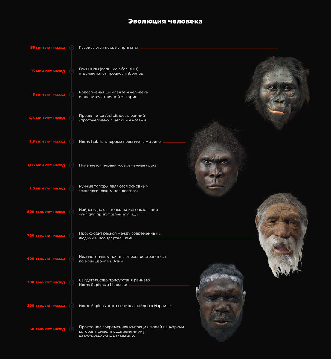 Источник: The Guardian