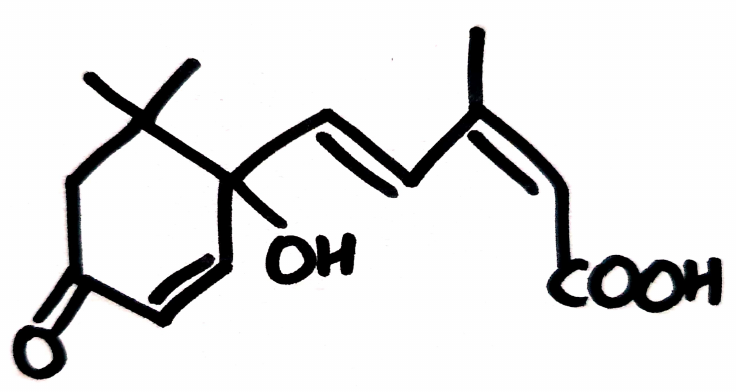 Абсцизовая кислота