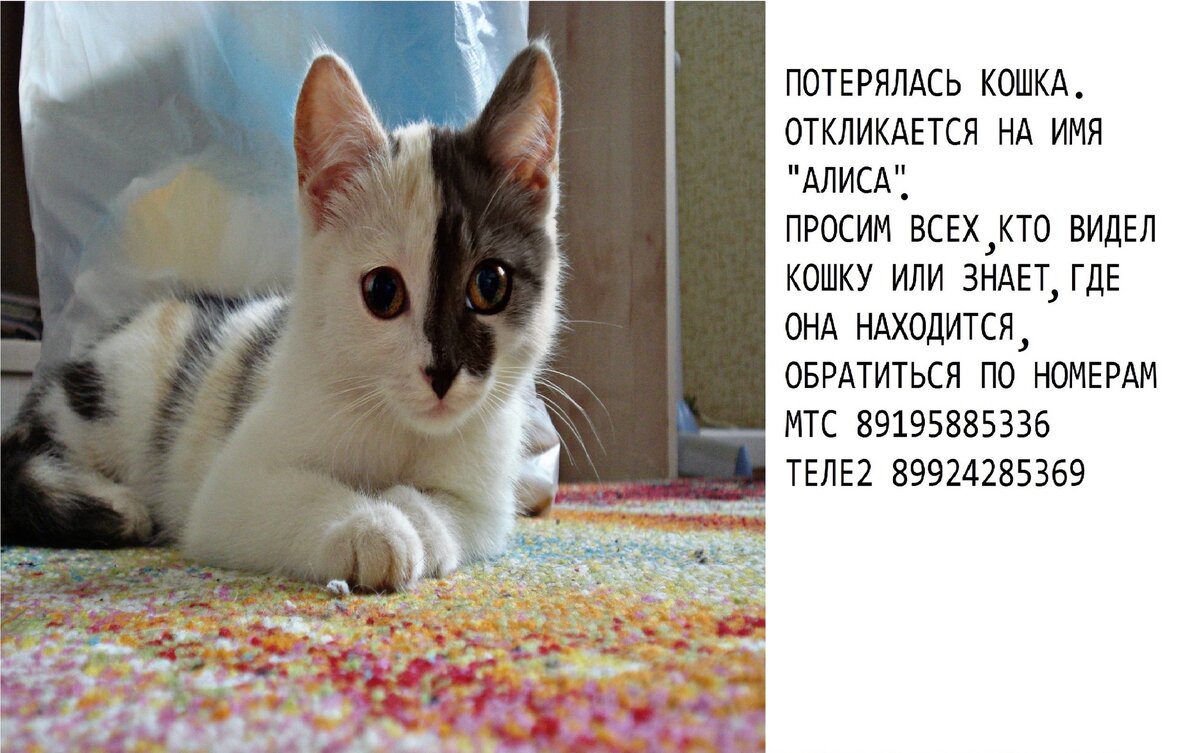 « Я всегда буду рада тебе, сколько бы времени не прошло...»