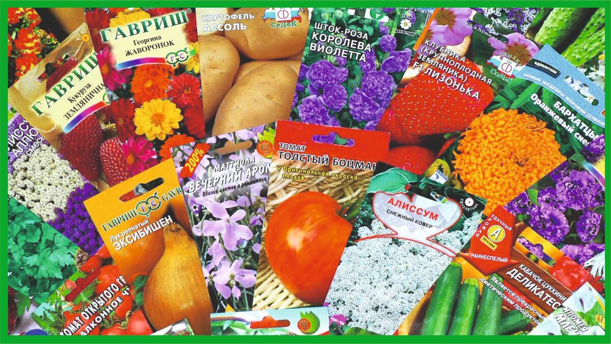 Прошлогодние закупки