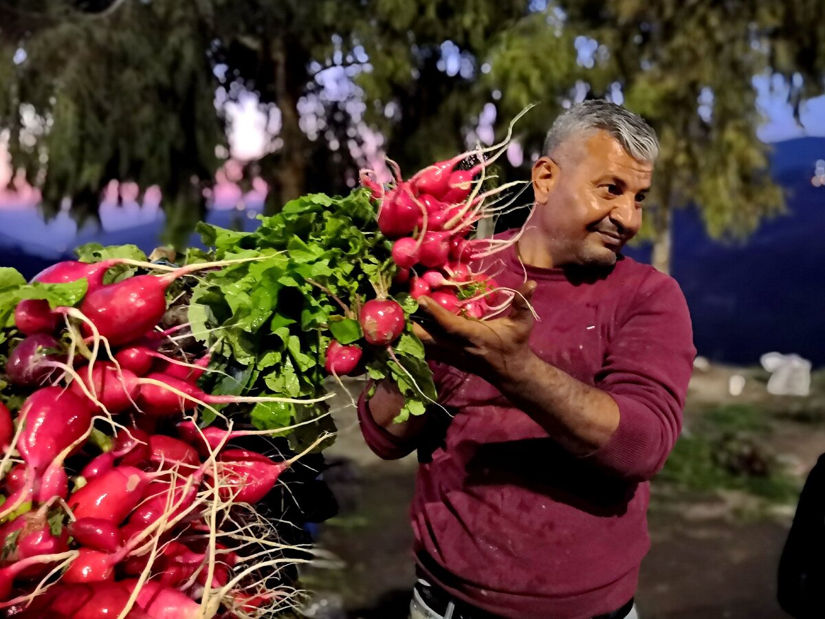 Нет, не редиской, пока секрет))