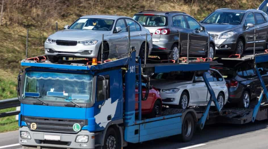 Фото в свободном доступе