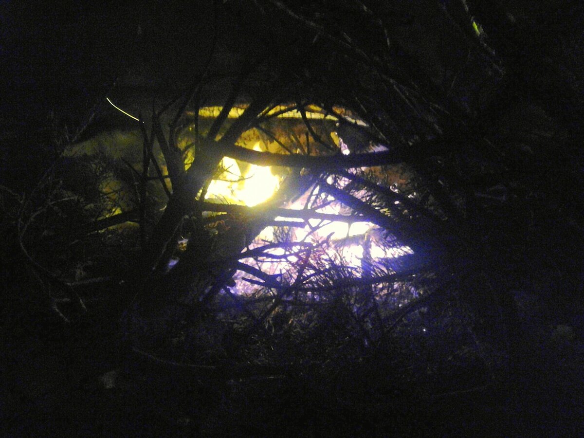 Фото из личного архива. Это именно тот сказочный костёр.