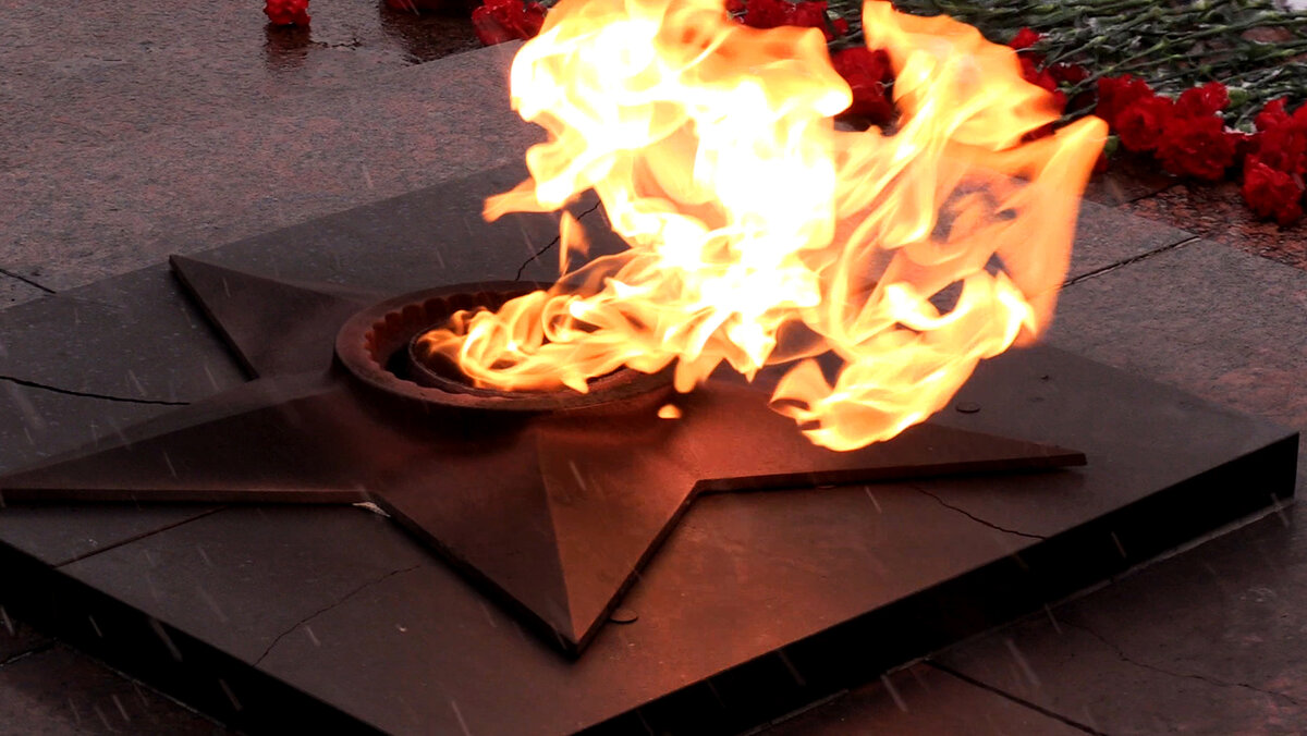 картинка взята из открытого источника Яндекс